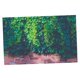 thumbnail image 1 of Tapices tapiz impermeable 3D tapiz colgante de pared para uso al aire libre interior o, 1 of 3