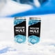 thumbnail image 3 of Moscow Mule, 3 of 4