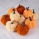thumbnail image 3 of Calabazas Terciopelo Foam Diahom 12 pcs 2.7 in 6.9 cm, 3 of 3