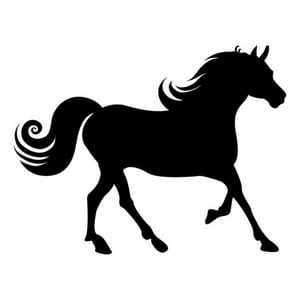 Rienda Libre Graphics - Decomural Galloping Horse Farm Animals Ws-17019