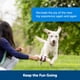 thumbnail image 5 of Treat Rings for Busy Buddy Dog Toys PetSafe 60 anillos tamaño C, 5 of 7