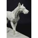 thumbnail image 5 of Figurilla 3dtotal – Anatomía Canina, 5 of 7