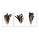 thumbnail image 1 of Set de Cuadros Abstracto Plumas con Marco Blanco, 1 of 1