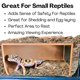 thumbnail image 4 of Refugio para reptiles Lucky Critter – Cueva de observación de 15 cm, 4 of 8