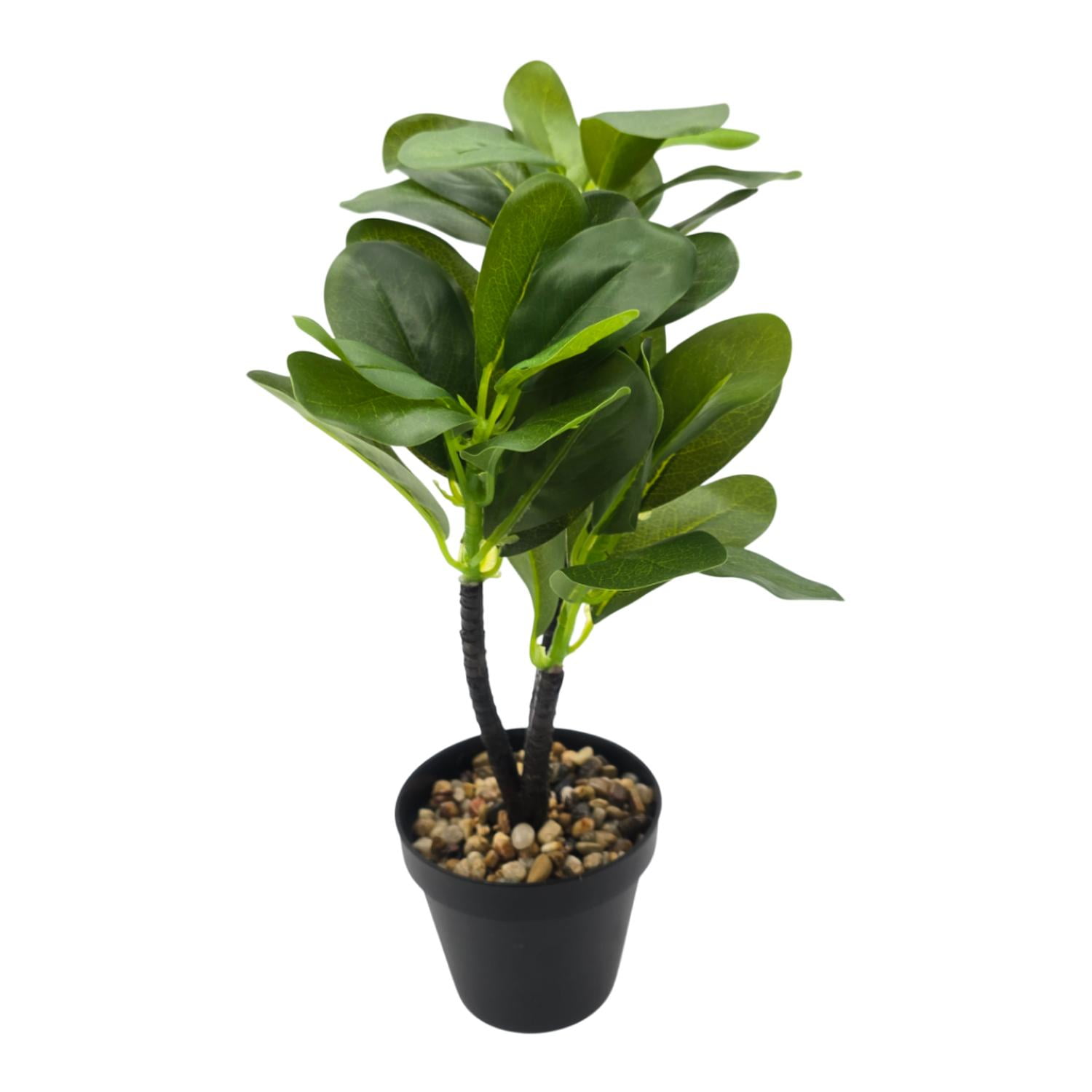 Fliperex - Planta Artificial Hoja Verde Deco Macetero Plastico Negro Negro
