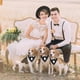 thumbnail image 3 of ADOGGYGO Dog Tuxedo Bandana, Wedding Birthday Dog Bow Tie, B, 3 of 3