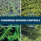 thumbnail image 4 of Control de malezas y plantas acuáticas Airmax Ultra Pondweed Defense, 4 of 9