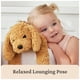 thumbnail image 5 of Peluche GUND Forever Friends Muttsy Dog Amber 35 cm, 5 of 9