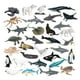 thumbnail image 1 of 32 Figuras De Animales Marinos Falsos Para Niños Y Niñas, Recuerdos De Fiesta, Accesorios De Enseñanza, 1 of 3