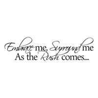 Rienda Libre Graphics - Decomural Embrace Me Inspirational Ws-34053