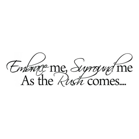 Rienda Libre Graphics - Decomural Embrace Me Inspirational Ws-34053
