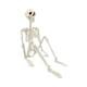thumbnail image 4 of Esqueleto Articulado De Halloween, Esqueleto Humano Realista, Accesorio Para Halloween, 4 of 5