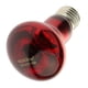 thumbnail image 1 of Lámpara Infrarroja De Calefacción Para Mascotas De Vidrio Bombilla De Lámpara De Emisor De Calor De Invierno E27 Rojo 75W, 1 of 5