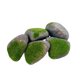 thumbnail image 4 of 5 Piezas De Rocas Falsas Para Dioramas, Rocas Artificiales Para Arreglos Florales De Patio, Jardín De Hadas F, 4 of 5