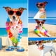 thumbnail image 5 of Diadema de flores para perro, corona de flores para mascotas, tocado de flores, hojas naturales, corona para perros y gatos, decoración de boda, 5 of 5