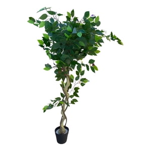 Genérico - Planta Artificial Decorativa Diseño Realista Elegante Jhn