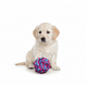 thumbnail image 2 of Juguete Pelota De Cuerda Masticable Duradera Para Perros, 2 of 5
