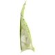 thumbnail image 5 of Detergente para lavavajillas Mrs. Meyer's Lemon Verbena 330g, 5 of 7