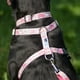 thumbnail image 2 of Arnés Para Perros Talla M, 2 of 3
