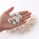 thumbnail image 5 of Conchas marinas SINKOO 1.5-3 cm blancas a granel para manualidades DIY, 5 of 8