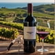 thumbnail image 5 of Sacacorchos profesional Wino Wine Accessories, 5 of 9