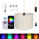 thumbnail image 1 of Lámpara colgante ZSLAIFU con cable de 4,6 m y bombilla RGB con control remoto, 1 of 7