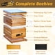 thumbnail image 2 of Kit de inicio de colmenas para abejas MayBee de 10 marcos con suministros, 2 of 7
