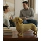 thumbnail image 3 of Estatura Figura Perro Salchicha Encanto Canino Adorno Jhn, 3 of 3
