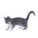 thumbnail image 2 of Simulación Mascotas Animal Modelo Figura Juguete Educativo Decoración Del Hogar Gato Persa, 2 of 5
