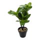 thumbnail image 2 of Planta Artificial Hoja Verde Deco Macetero Plastico Negro, 2 of 6