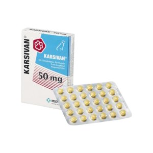 Karsivan 50 Mg 60 Comprimidos Msd