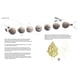 thumbnail image 3 of Mil tomates y una rana: historia de un huerto blanco, 3 of 3