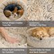 thumbnail image 3 of Cama calmante tipo dona para perros grandes Best Friends by Sheri, 3 of 9
