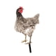 thumbnail image 4 of Estatua De Jardín De Pollo, Estaca, Adorno De Césped Para Gallina, Regalo Exterior, Patio De Gallo, Estilo Artístico D, 4 of 5