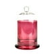 thumbnail image 1 of Candelabro De Cúpula De Cristal Cloche Con Asa Superior Para Frutas, Piedras Aromáticas, Pastel, Rosa Roja, 1 of 3
