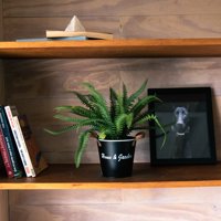 Vadell Home - Helecho De 30 Cm Con Macetero