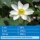 thumbnail image 4 of Clarificador de agua API POND ACCU-CLEAR 3,78 L para estanques de agua dulce, 4 of 6