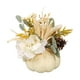 thumbnail image 1 of Calabaza Artificial Con Flores De Otoño Para Acción De Gracias, Manualidades Para Chimenea, Color Blanco, 21 X 18 Cm, 1 of 5