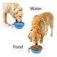 thumbnail image 4 of Plato De Goma Plegable Portátil De Mascotas Perro Y Gato verde oscuro, 4 of 6