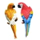 thumbnail image 2 of 2 Figuras De Loro Para Decorar El árbol De La Pared, De Resina, Para Césped, Jardín, Color Amarillo Y Rojo., 2 of 5