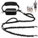 thumbnail image 1 of Correa manos libres doble reflectante con bungee Uppetly para perros, 1 of 7