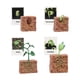 thumbnail image 2 of Figuras De Ciclo De Vida, Juguete Educativo Realista Para Favores De Fiesta, Crecimiento De Plantas, 2 of 5