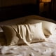 thumbnail image 1 of Pillows BHZ con plumas de ganso, tamaño estándar, juego de 2 unidades, color beige, 1 of 9