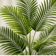 thumbnail image 4 of Palmera Artificial Decorativa 150 Cm Con Macetero, 4 of 5