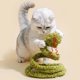 thumbnail image 2 of Juguete para Gato ZEZE Serpiente del Bosque con Resorte y Peluche Crujiente, 2 of 9