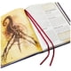 thumbnail image 4 of Libro Chaosium Call of Cthulhu RPG Manual del Guardián Tapa Dura, 4 of 4