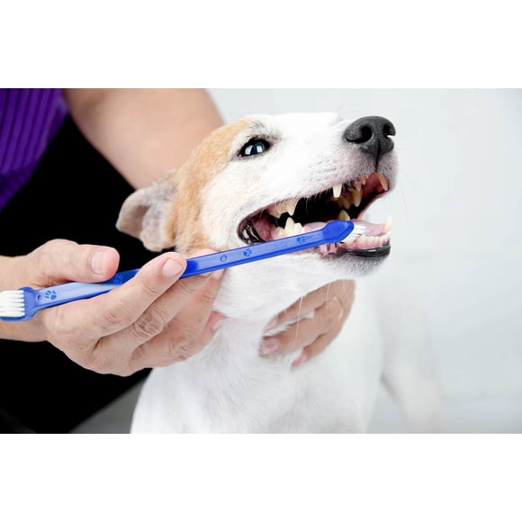 Juego de cepillos de dientes Duke's Pet Products de doble cara para perros, color azul