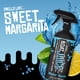 thumbnail image 4 of Limpiador de barcos Boat Juice Extreme, eliminador de manchas de agua, 946 ml, 4 of 8