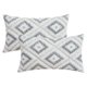 thumbnail image 1 of REGALWOVEN Paquete de 2 fundas de cojín decorativas de felpa corta suave estilo de lujo para sofá dormitorio gris 12" x 20", 1 of 6