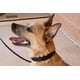 thumbnail image 2 of Collar para perros Starmark Pro-Training Add-A-Link Large, 2 of 2